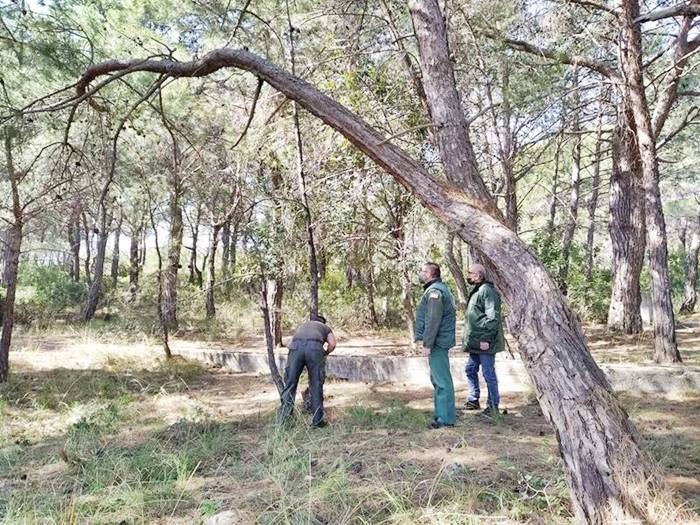 Με επιτυχία πραγματοποιήθηκε ο εθελοντικός καθαρισμός στο δάσος του οικισμού Ηραίον