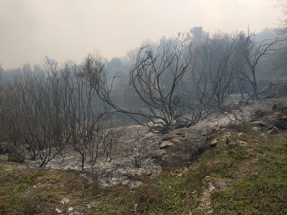 Ανεξέλεγκτη η πυρκαγιά στη Σάμο, στην κοινότητα Βουρλιωτών
