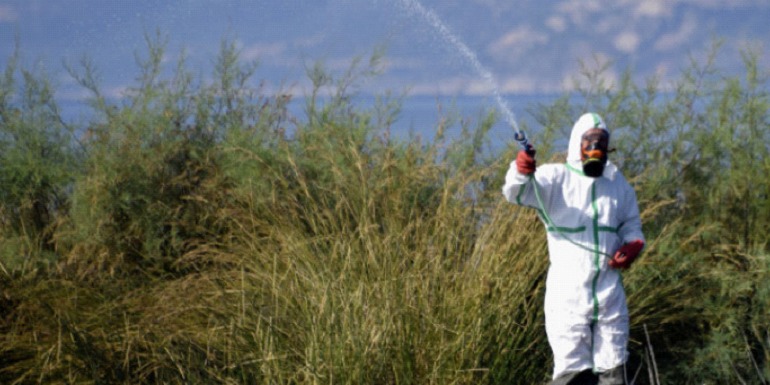 Πρόγραμμα 1ου ψεκασμού καταπολέμησης κουνουπιών έτους 2024 για τους Δήμους Σάμου – Ικαρίας – Φούρνων