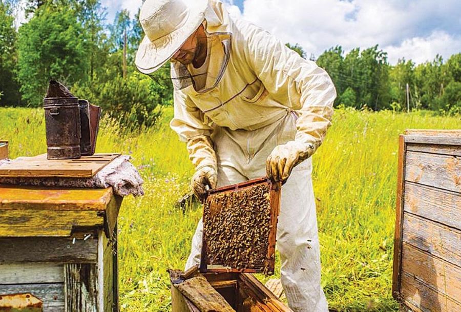Πρόσκληση  προς μελισσοκόμους Ν. Σάμου για υποβολή αιτήσεων στο πρόγραμμα στήριξης της Π.Ε Β.Αιγαίου