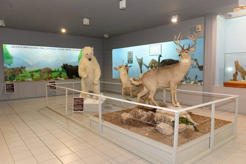 Εκδήλωση της Ι.Μ. Σάμου – Ικαρίας και Κορσεών προς τιμή του Ιδρύματος Κωνσταντίνου καί Μαρίας Ζημάλη «Μουσείου Φυσικής Ιστορίας Αιγαίου - Παλαιοντολογικού Μουσείου»